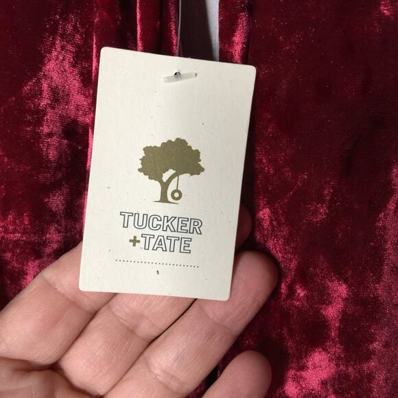 Tucker Tate Velvet Twirl Dress Long Sleeve Swing Size Large - Picture 4 of 5